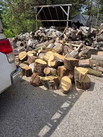 Philips Tree Care - 647 707 0210 STORM CLEANUP, View more