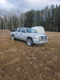 2010 Dodge Dakota V8 Magnum (motor seized)