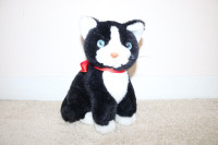 Musical Kitten Stuffed Animal