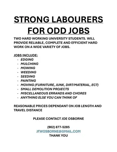 STRONG LABOURERS FOR ODD JOBS, View more