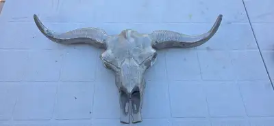 Metal Steer Skull Wall Decor, View more