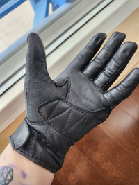 Medium Women's Prospeed Motorcycle Gloves