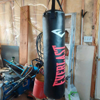Everlast 100lb Punching Bag. $150 obo