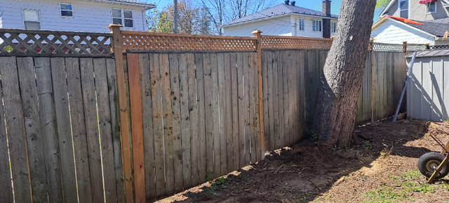 Fence repair, deck repair. in Fence, Deck, Railing & Siding in Ottawa - Image 3