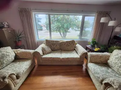 Learfy green and gold sofa set. Has removable cushion and pillow covers. Pickup and cash only.
