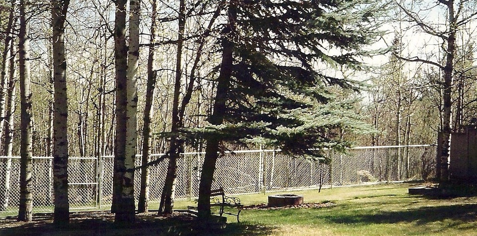 Chain Link Fence - AV Fencing | Decks & Fences | Lethbridge | Free ...