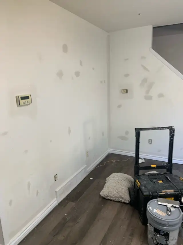 painter with 20 years ,65561336904962123