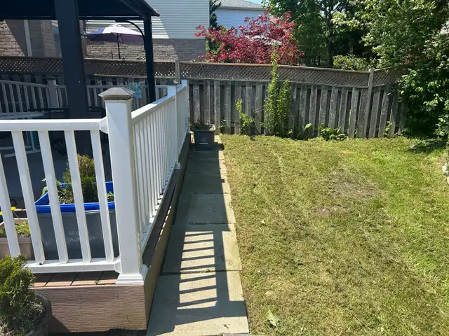 same day lawn service !  in Lawn, Tree Maintenance & Eavestrough in City of Toronto - Image 5
