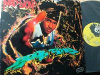 Mad Lion Real Ting 1995 original hip hop reggae LP clean vg++