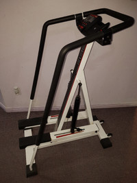 Healthware 362 Climbing Stepper Workout Equipment