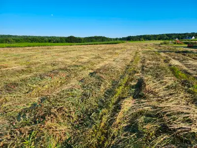 Ready To Rake & Bale Mixed Hay...make an offer, View more