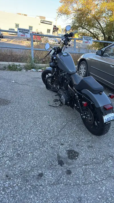 2022 Harley Davidson Iron XL 883 – Fully Customized Monster! Only 9,000 km – ready to roar. ✅ Custom...