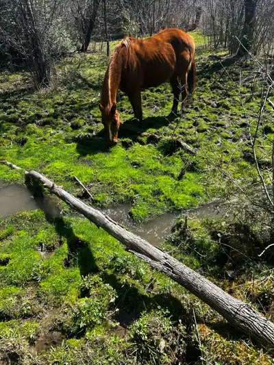 part board - Sophie, View more