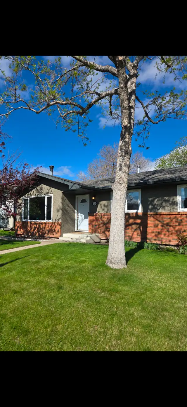 House for rent
