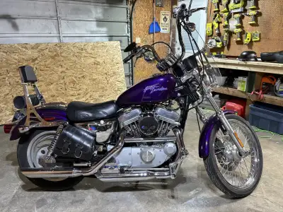 2001 Harley Davidson sportster 883 12” HD mini apes handlebars Screaming eagle 2 exhaust Quick attac...
