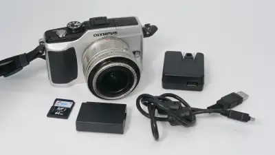 Français/English Serious buyers only - lowballers will be blocked. Olympus E-PL2 12.3MP Mirrorless C...