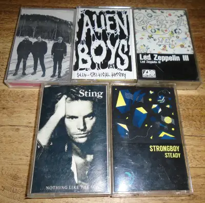 Several audio cassettes for sale - with original inserts and cases - cracks in a couple of cases - c...