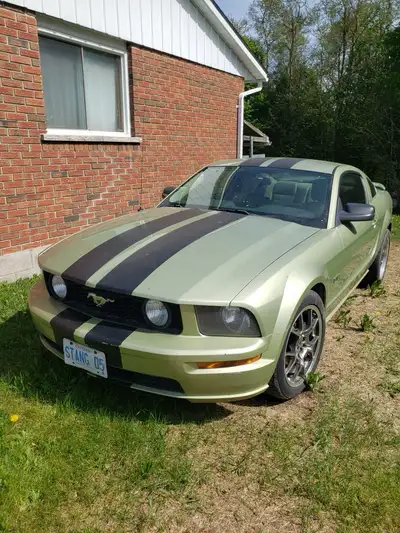 2005 Mustang GT Airaid cold air intake Magnaflow exhaust