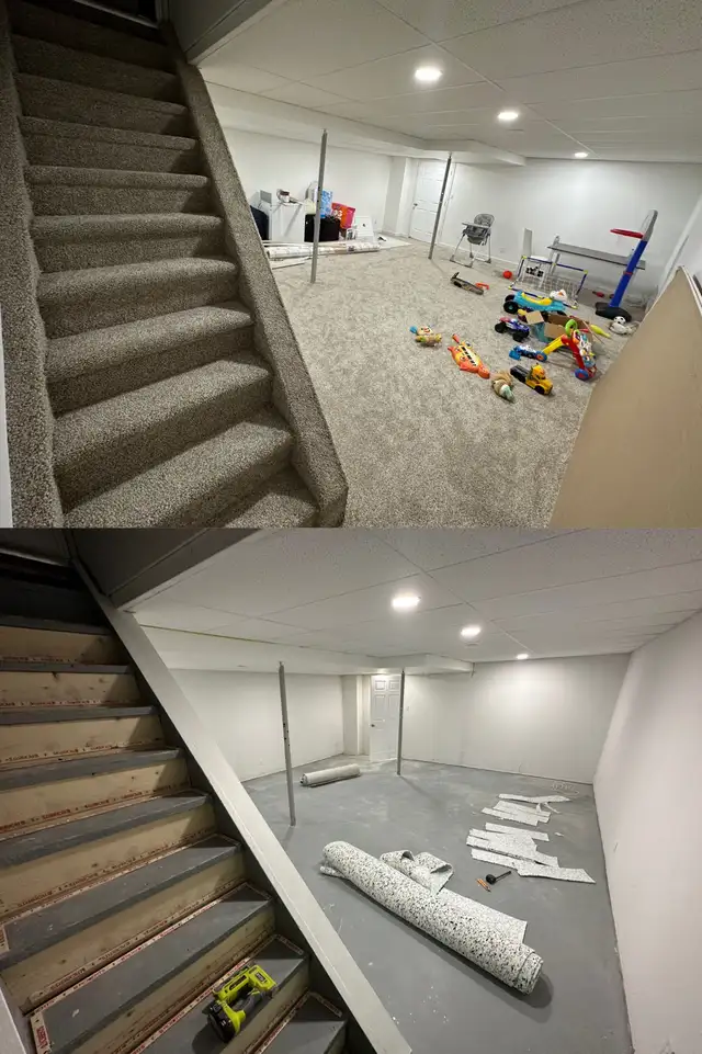 Renovations, painting, basement finish,drywall,flooring, carpet62863231741569123