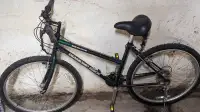 Mint female diamondback mountain bike