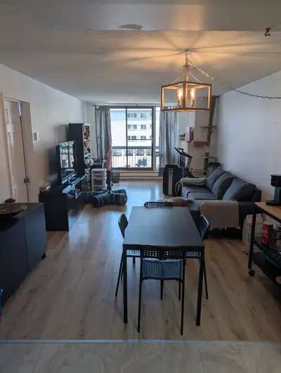 Looking for roommate