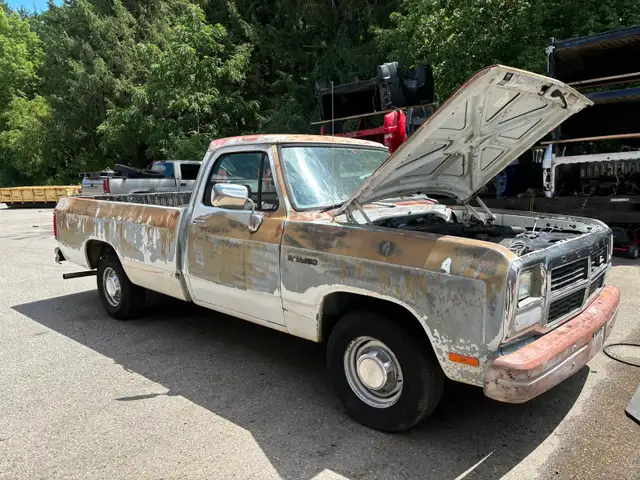 Southern 91 Dodge D-150542978539846389761