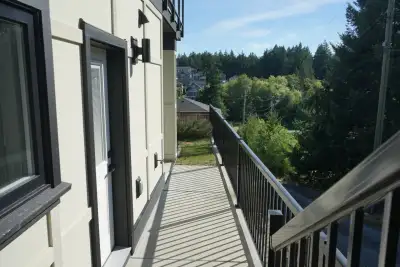 1 Bed 1 Bath Suite for rent - $1900