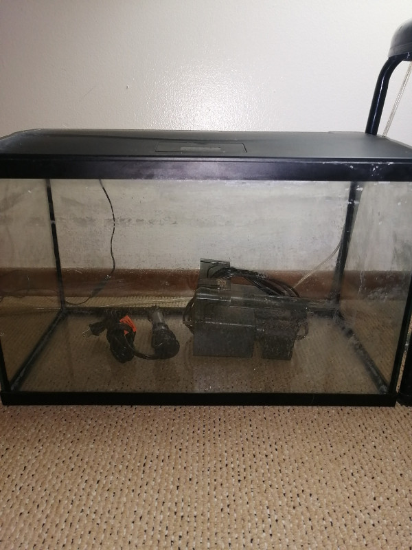 10 gallon Fish tank Accessories Kitchener / Waterloo Kijiji