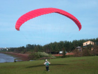 Paraglider (95-125Kg) - Firebird N-Joy XL