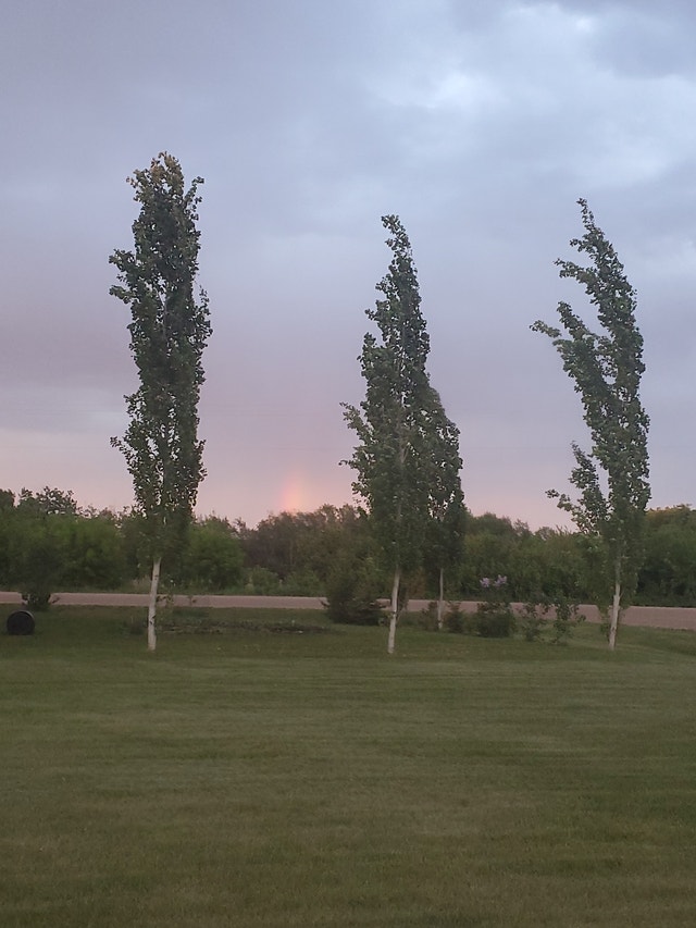 140 X 50 for sale Land for Sale Red Deer Kijiji