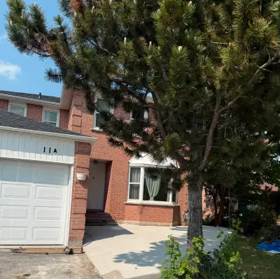 New 3BR legal bsmt apartment for rent
