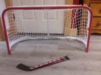Mini hockey net with mini sticks