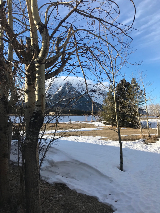 Crowsnest Pass Property for Sale Land for Sale Lethbridge Kijiji