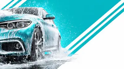 Hi I am offering a mobile Auto Detailing service. I come to your house or business and will clean th...