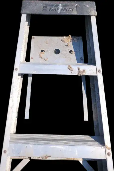 Featherlite 10 ft ladder. I deliver!, View more