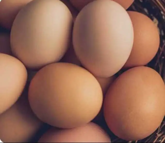 FRESH BROWN FARM EGGS 