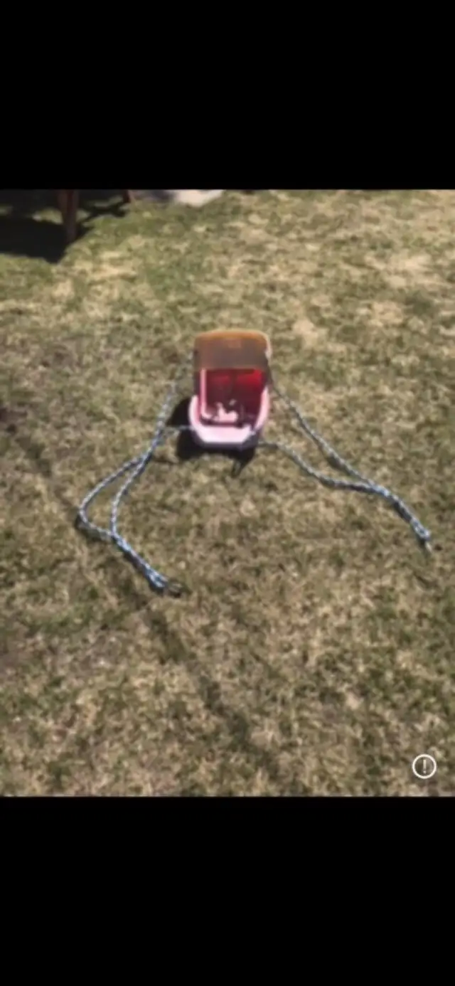 ***** Kids Tree Swing *****428820875162439682