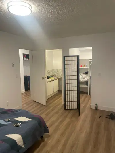 Looking for a clean, respectful roommate to rent the furnished master bedroom in a spacious three-be...