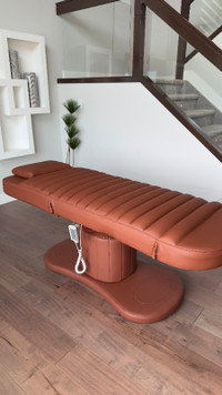 Custom Electric and Adjustable Beauty Bed