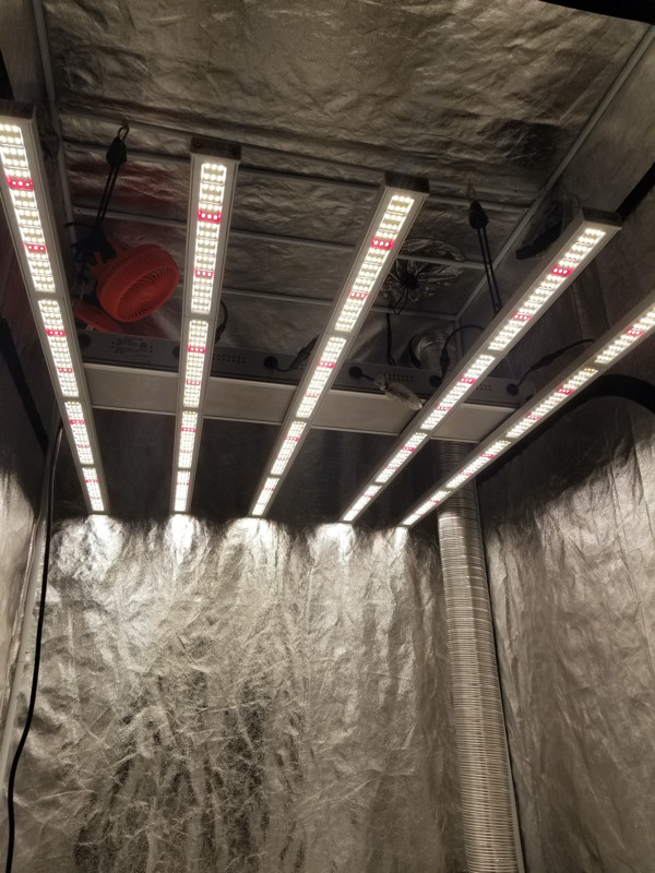Commercial grow lighting in Other Business & Industrial in Peterborough - Image 2