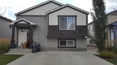 2 bed / 1 bath, Condo w/in suite laundry in Leduc, Utilities are included! This is not a basement! 1...