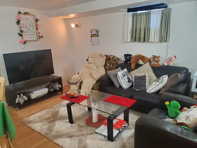 FREE, 1 1/2 IN LIMOILOU, $685/MONTH, HEATED & LIGHTED, WIFI, SEMI-FURNISHED
