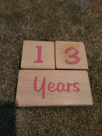 Baby milestone blocks