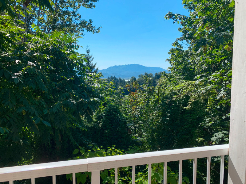 1 Bedroom Above Ground Basement Suite, Sumas Prairie Views! Long Term