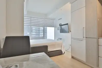 Stunning view downtown Montreal fully furnished studio short or long term with special price ... 49t...
