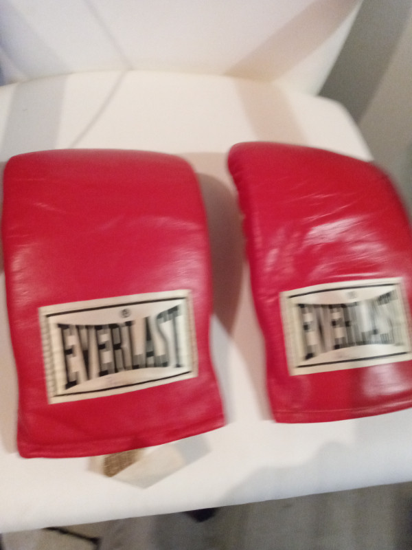 EVERLAST BOXING GLOVES and PUNCHING BAG in Exercise Equipment in City of Halifax - Image 3