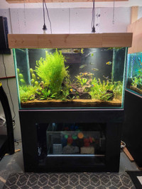 140 gallon fish tank