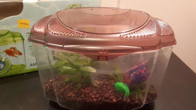 Used for about two months. and overall in fine shape, mostly just dusty and could do with a good was...