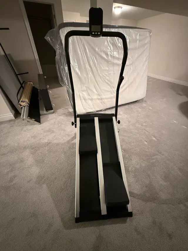 Echelon Stepper597335062758051841