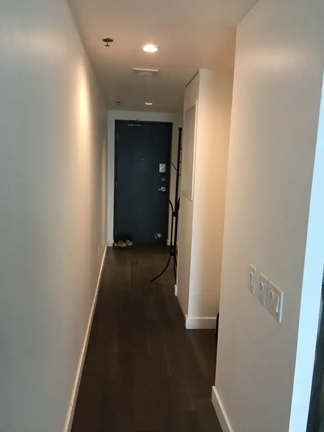 Experienced painter65561289442433120